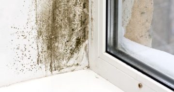 housing disrepair claim