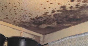 mould in rochdale
