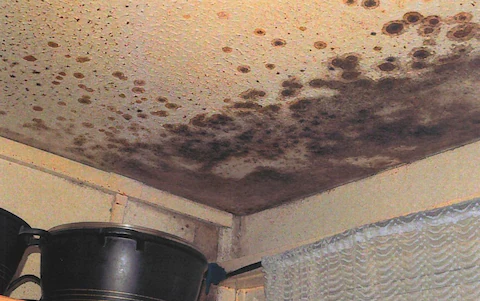 mould in rochdale